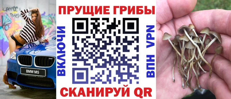 Псилоцибиновые грибы Cubensis  mega рабочий сайт  Кашин 