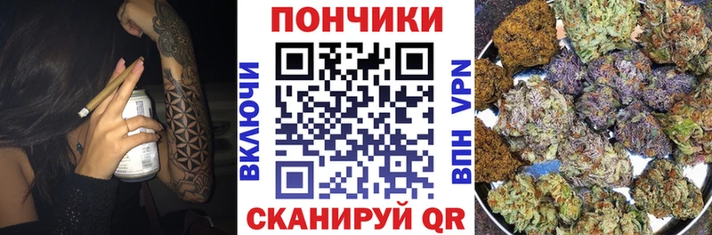 Марихуана план  Кашин 